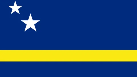 中国跳水队巴黎奥运冲刺：严格训练氛围活跃